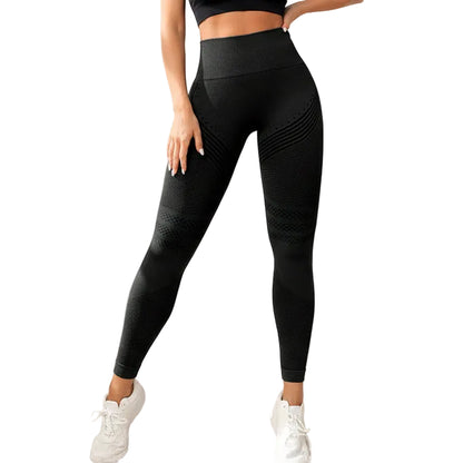 LINGIX TissiTa